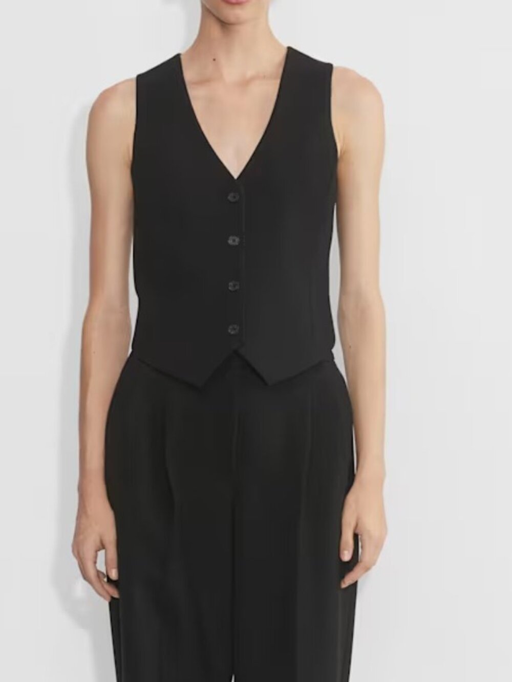 Babaton Aritzia Deniro Vest